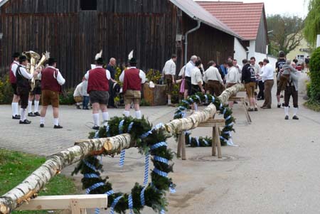 2010-05-01-16-04 Maibaum 005