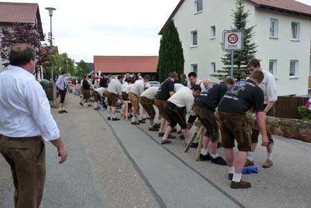 2010-05-01-16-32 Maibaum 026